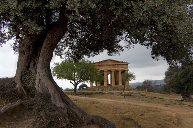 Temple of Concordia, Sicily